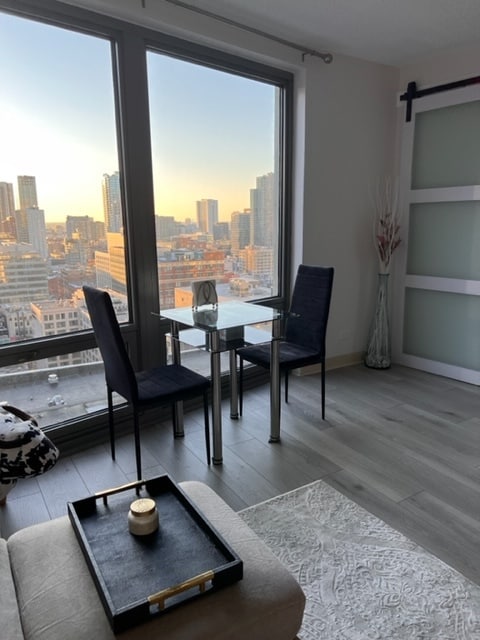 Living Room - 440 N Wabash Ave Unit 2501