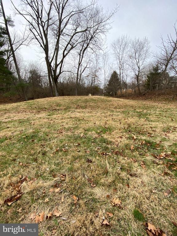 Photo - 470 Plum Alley