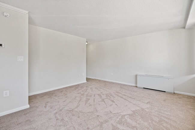 Photo - The Brittany