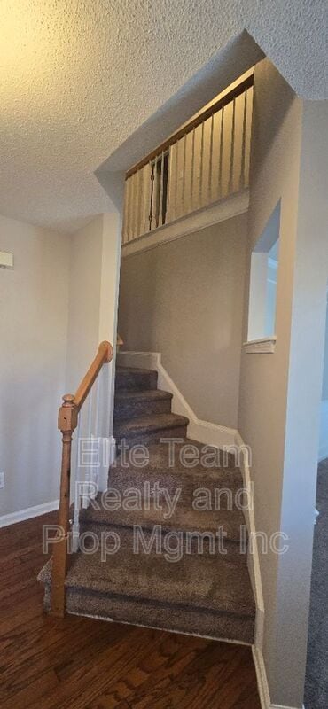 Photo - 14109 Southbridge Forest Dr