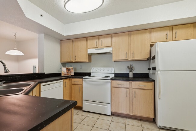 08_10101_Lymestone_Ct_New_Smyrna_Beach_FL_3216-Kitchen-DSC_8440 - Lymestone Ranch
