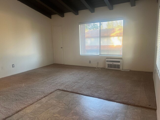 Photo - Archibald-7781