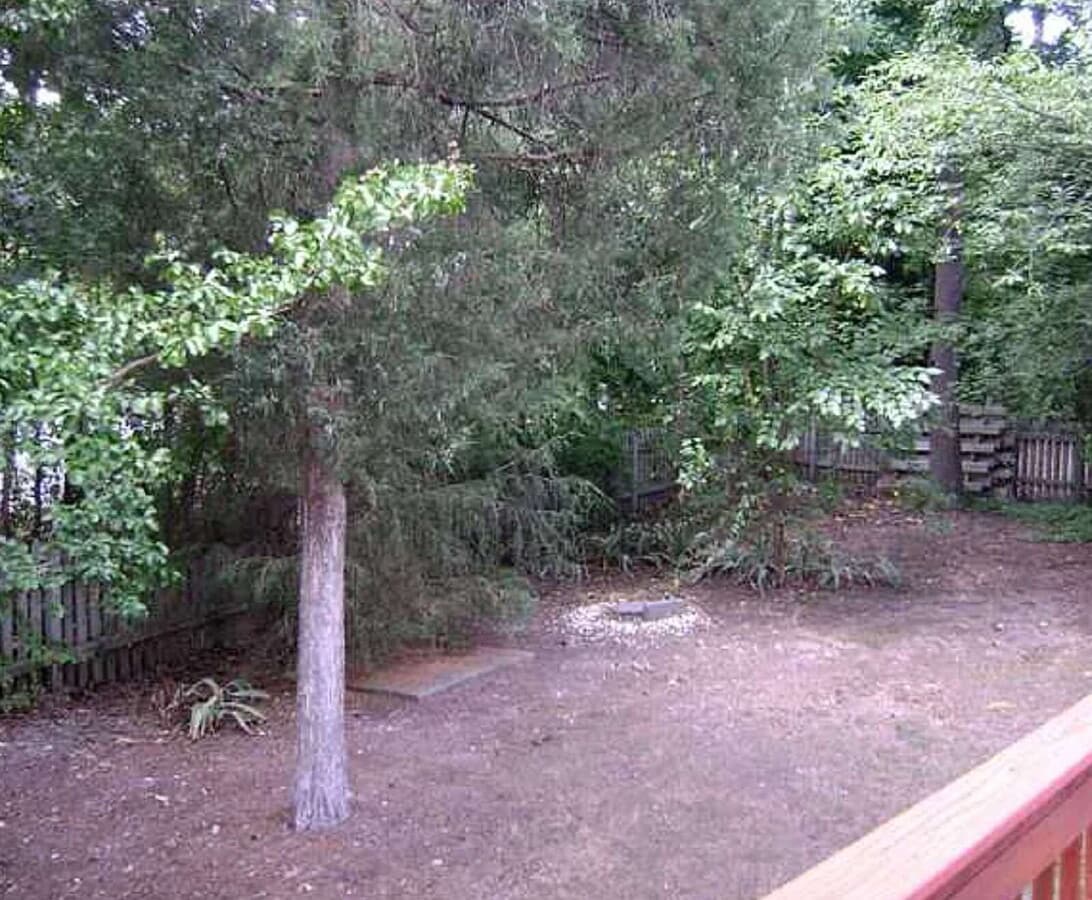 Photo - "Charming 3-Bed Home with Cozy Fireplace on Long and Winding Rd in Raleigh!"