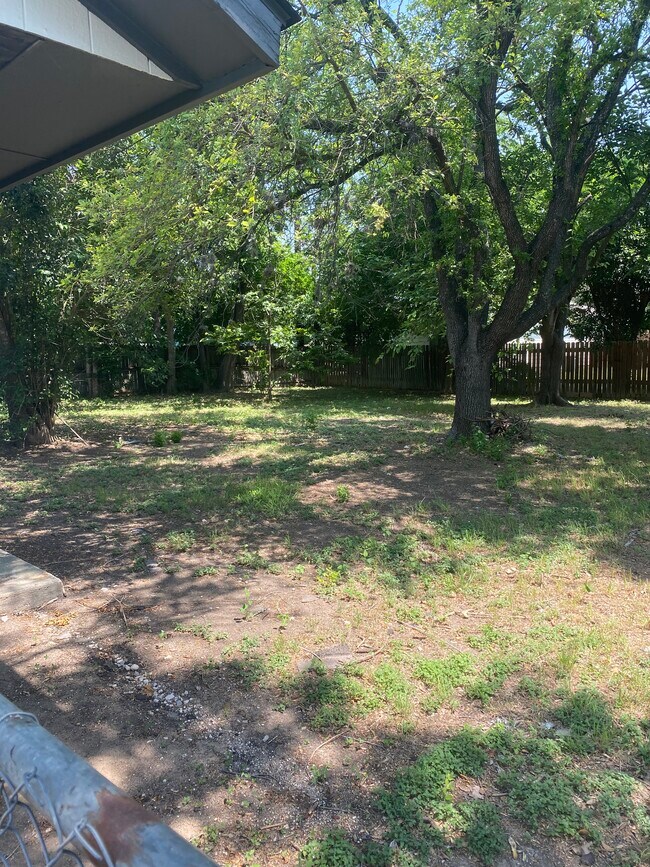 238 Gruene Rd Rental For Rent in New Braunfels, TX
