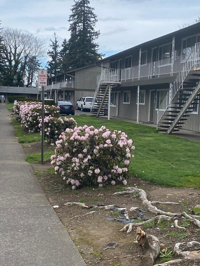 Willow Terrace