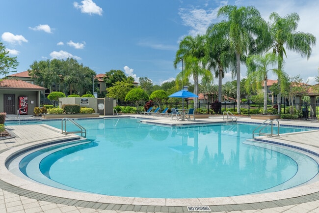Beat the heat with a dip in the pool. - Indigo West