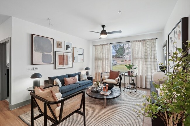 Photo - Bluebird on Seventy