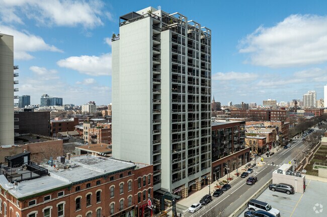 Primary - The Neapolitan