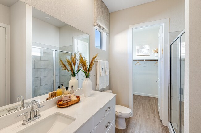 Yardly Beltmill apartments — community photo