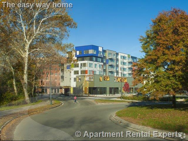 Building Photo - 603 Concord Ave Unit #307H Rental