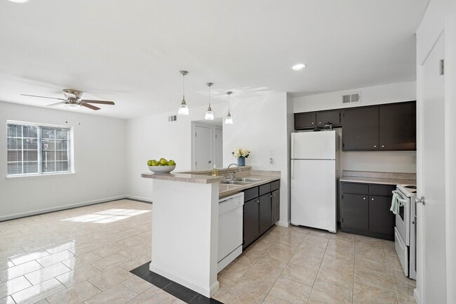 Budget Friendly Floorplan