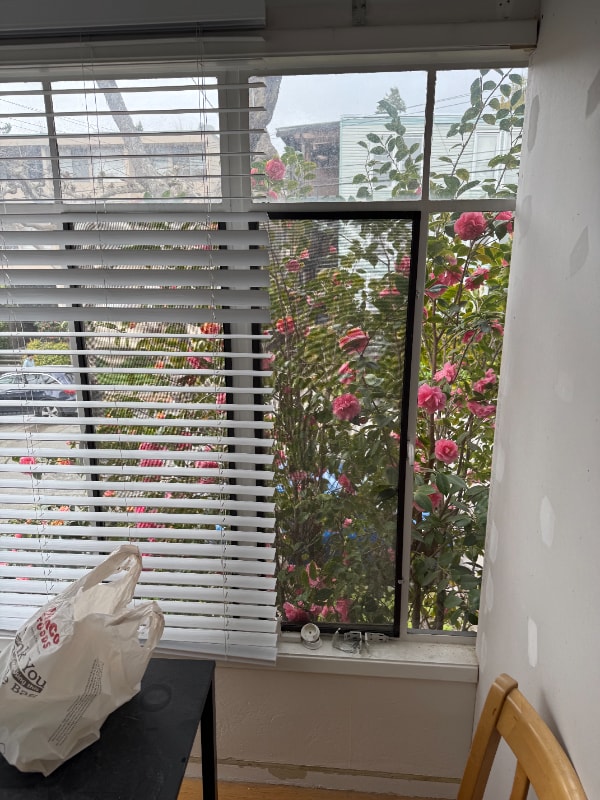 Photo - 2480 Virginia St Unit 1