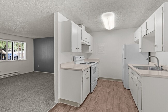 Photo - Wisteria Walk