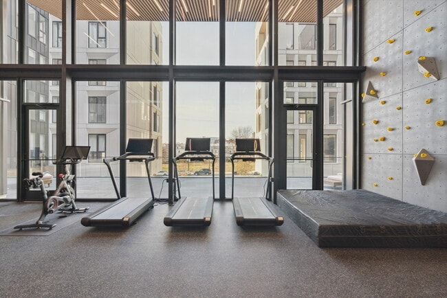 Peloton Cardio & Rock Climbing Wall