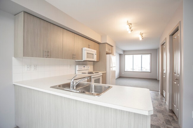 Belmont Townhomes