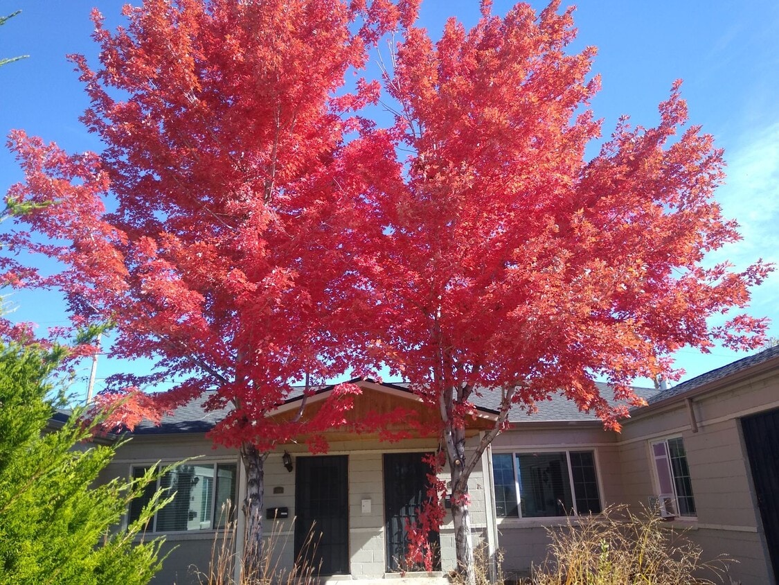 Mountain & City Views 2 Bed, 1 Bath Duplex... - Mountain & City Views 2 Bed, 1 Bath Duplex...