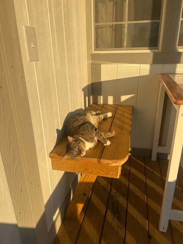 Photo - 373 T Johnson Rd