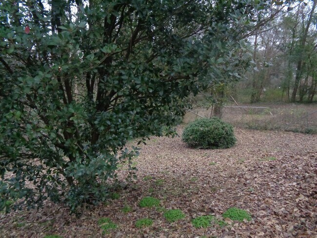 Photo - 2 Bedroom 1 bath home