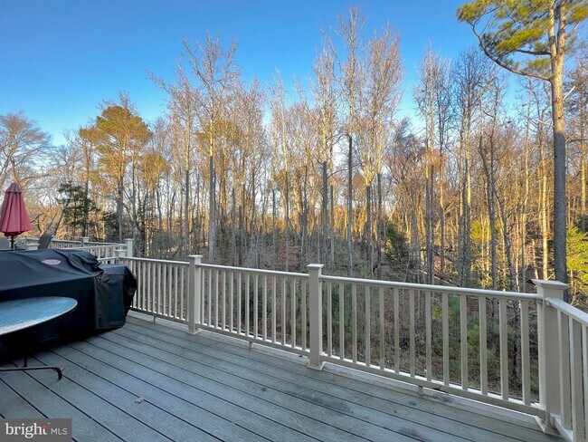 Photo - 15206 Lady Lauren Ln