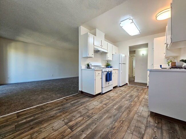 Photo - Shady Terrace