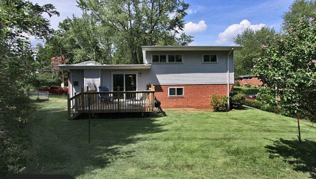 BACK YARD - 2303 Pinneberg Ave