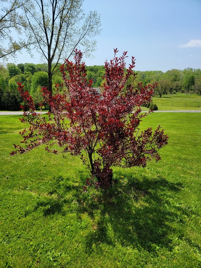 Photo - 4052 Quail Rdg