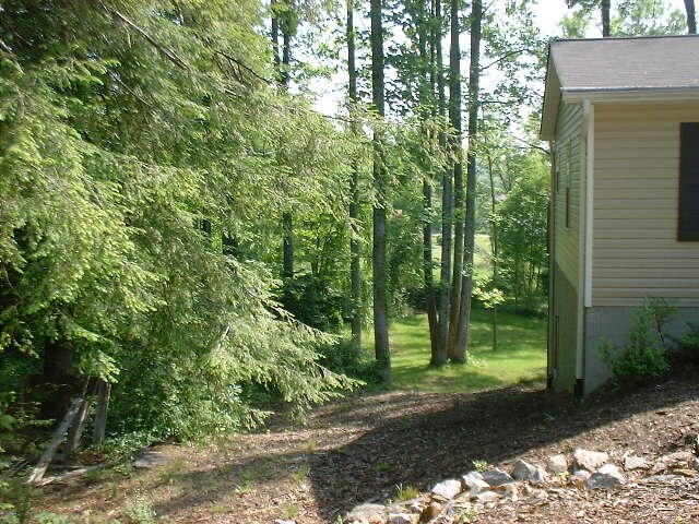 Photo - 1824 Lower Ridgewood Blvd