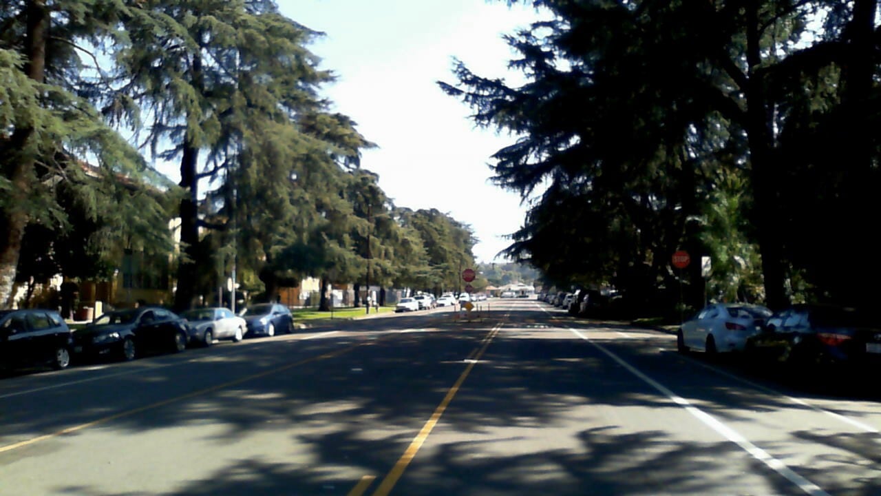 Tree Lined Street - 2108 Fair Park Ave Unit #307