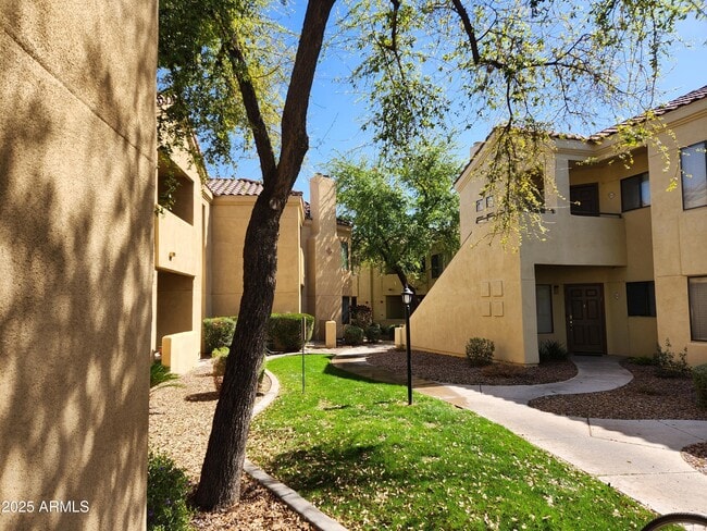 Building Photo - 7575 E Indian Bend Rd Unit 1029 Rental