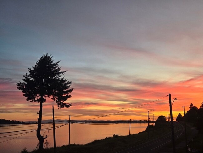 Photo - Condo in Blaine for Rent