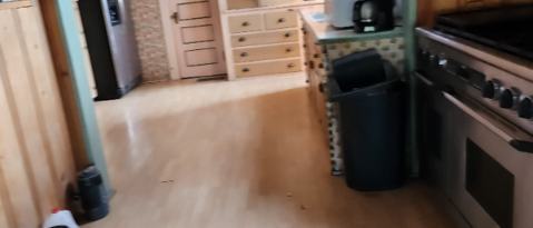 Photo - 217 Angelus St