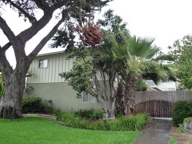 Photo - Ocean Palms Apartments