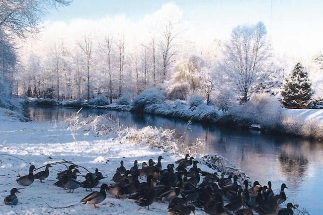 Photo - Riverside Landing Senior Apartments