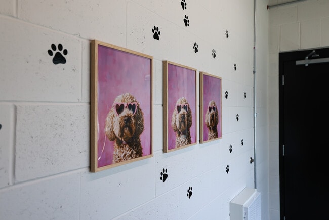 Pet Spa