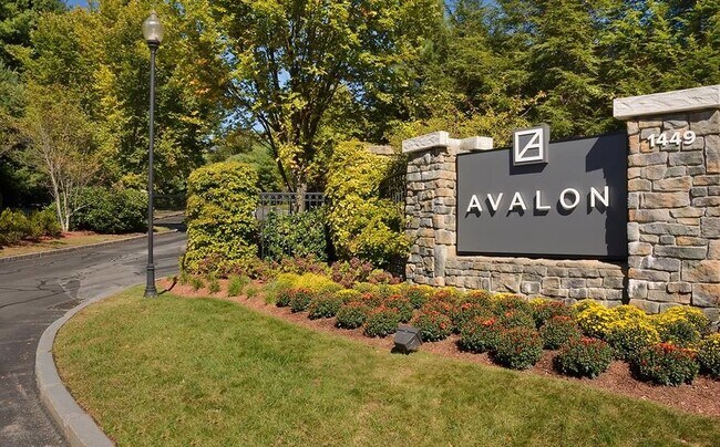 Building Photo - 1449 Main St Unit 1-2224