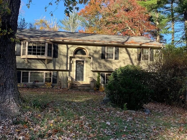 Building Photo - 19 Pine St