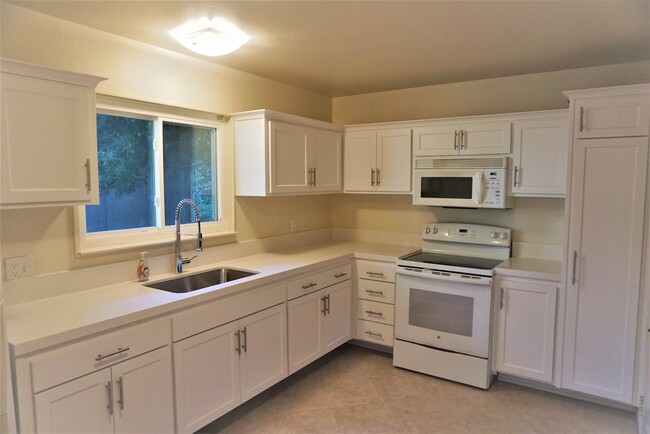 Kitchen - 148 Glen Dr Apartment