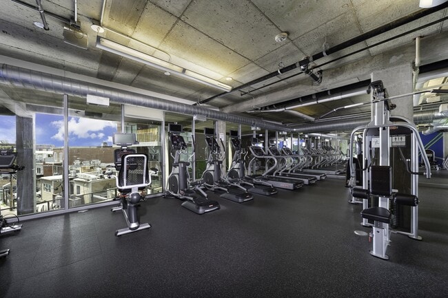 Gimnasio