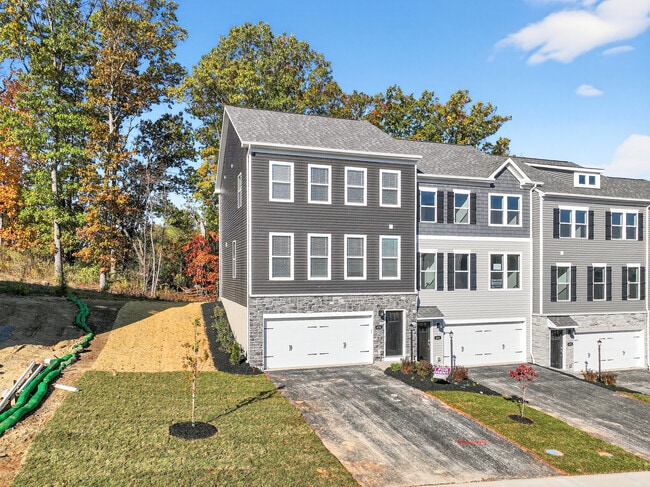 Building Photo - 696 Olivia St