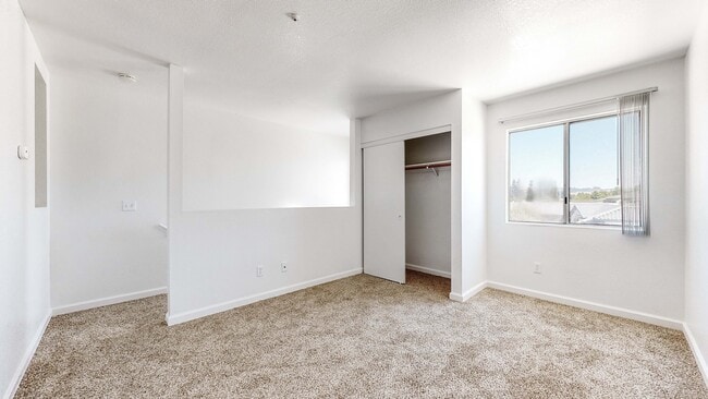 2 Bedroom Room 2