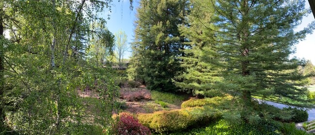 View from the patio - 1100 Sharon Park Dr Unit 11