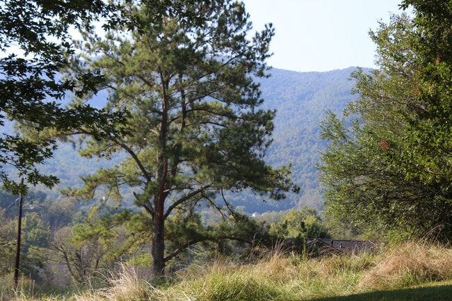 Mountain views from yard - 133 Rockdale Ave