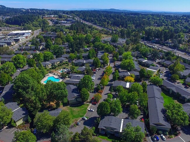Commons at Timber Creek Apartments