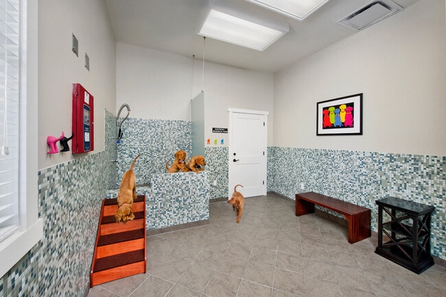 Pet Spa - Bexley Village at Concord Mills