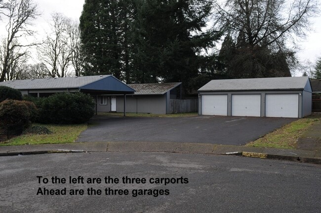 Photo - Rare find - Available now