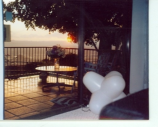 Vista desde la sala de estar - 1705 Cam De Villas