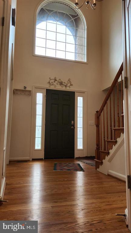 Photo - 4018 Tiber Falls Dr