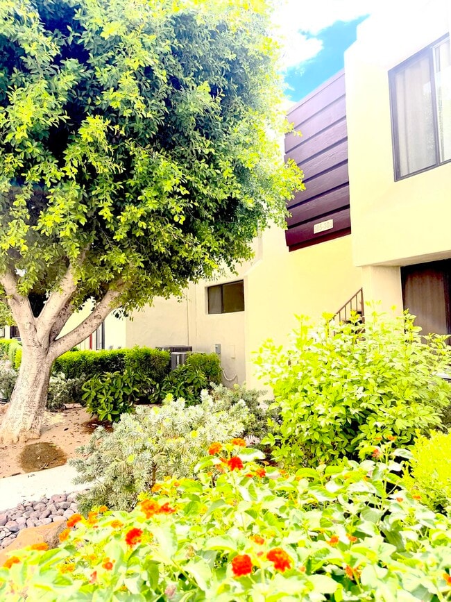 1655 E Palm Canyon Dr Unidad 307