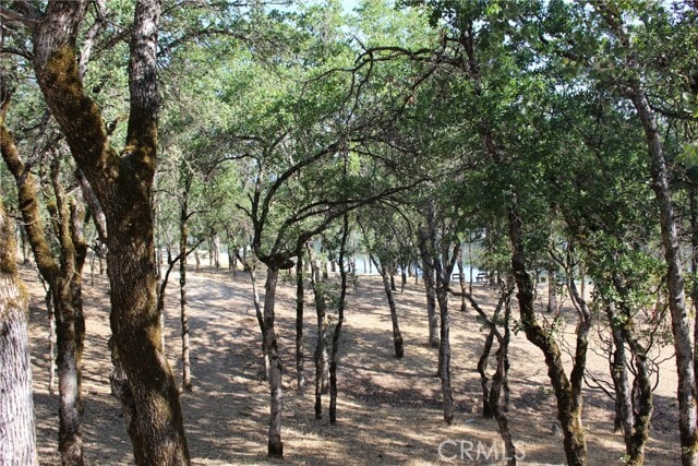 Photo - 18702 E Ridge View Dr