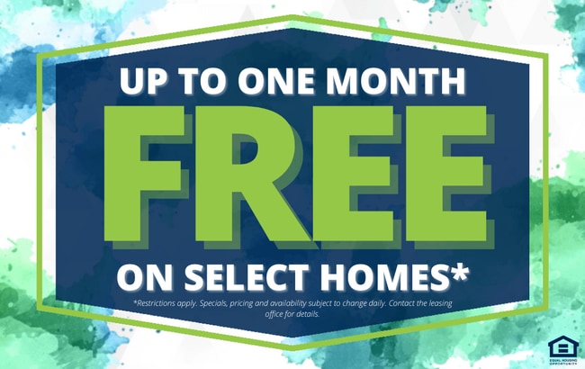 Photo - Golden Crest